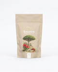 Socotra Dragon Tree Chai