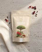 Socotra Dragon Tree Chai