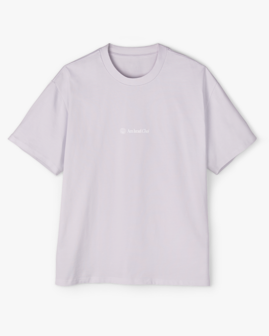 The Taj Oversized Tee
