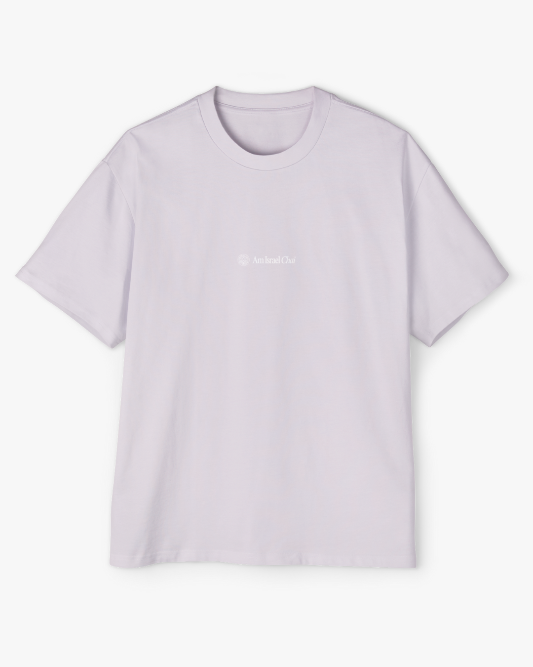 The Taj Oversized Tee