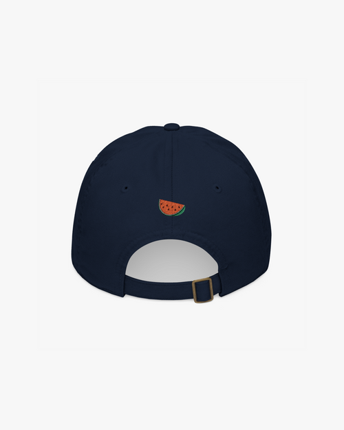For Those Who Know Baseball Cap