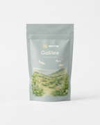 Galilee Green Mint Chai